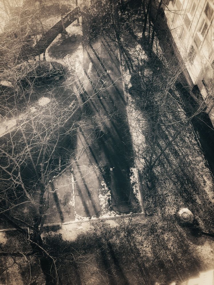 Photograph by Людмила М