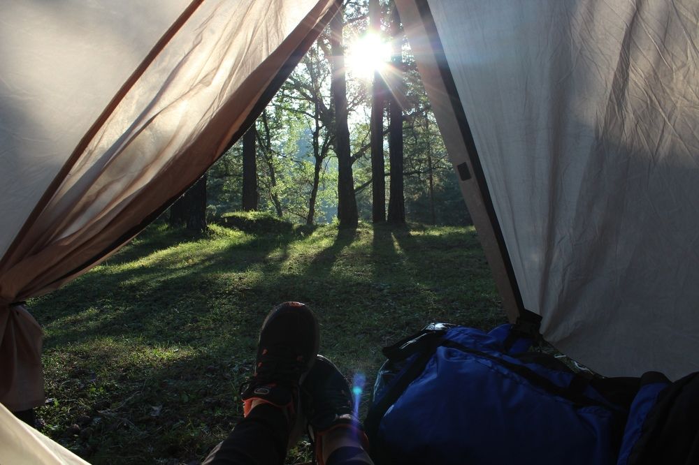 Солнечное утро