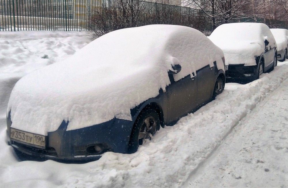 Авто под шубой