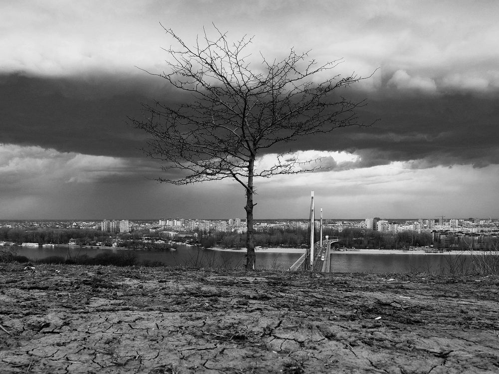 Alone wooden lightning rod