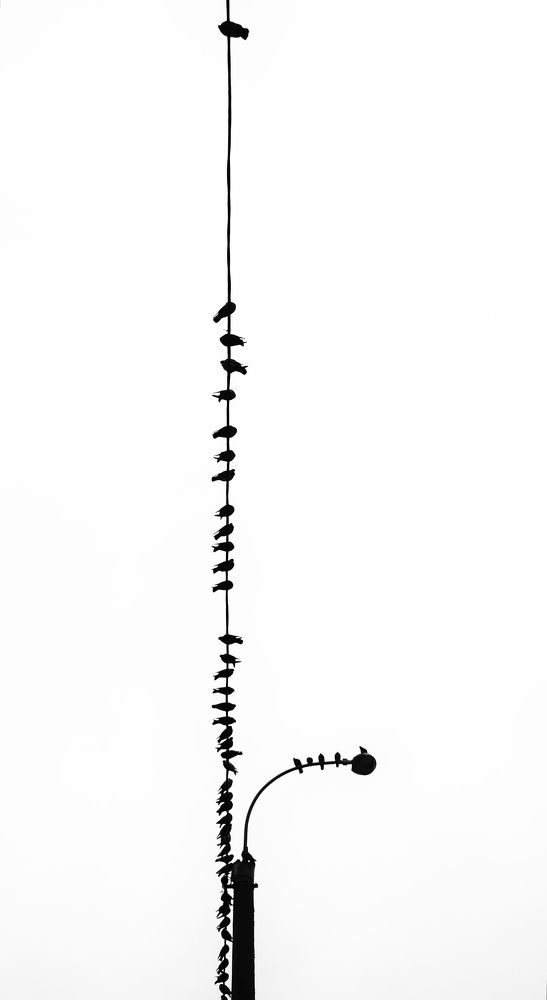 Photograph by Чунина Наталья