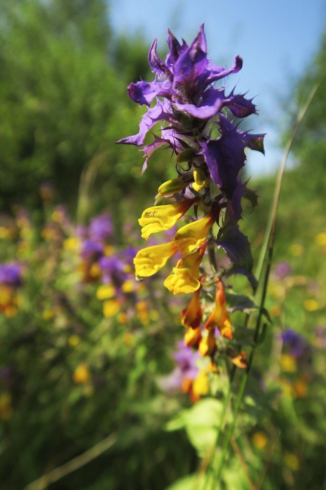 Photograph by Ольга Фагерроз