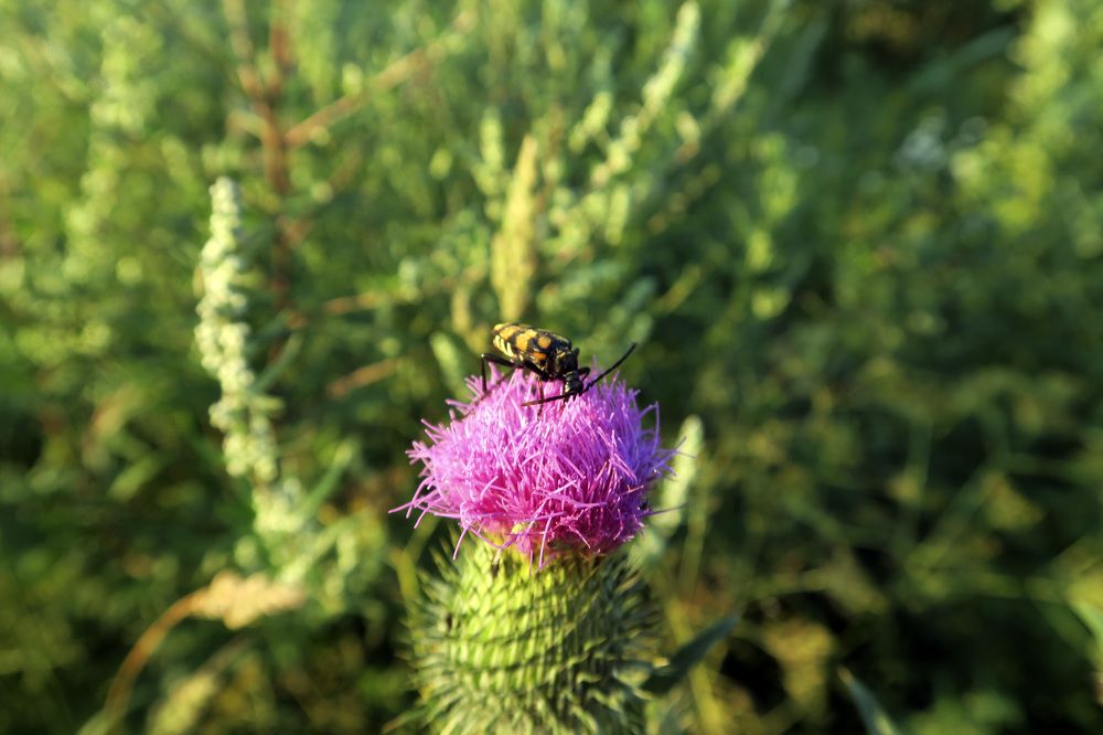 Photograph by Ольга Фагерроз