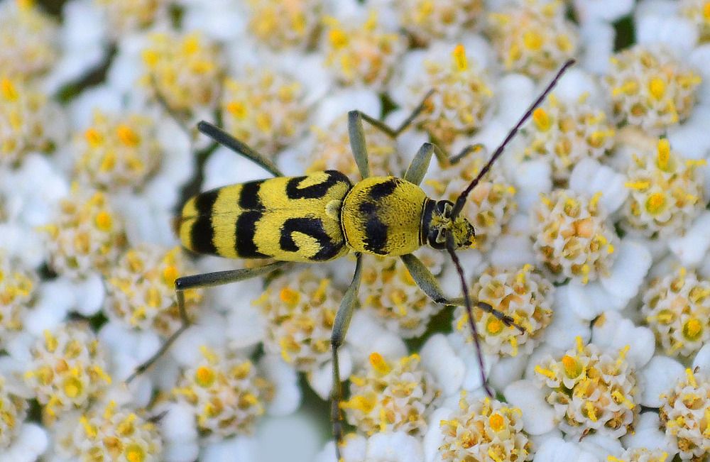 Photograph by Нелли Солодовникова