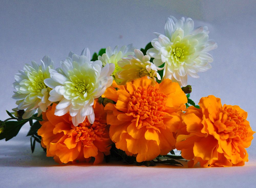 Photograph by Олеся