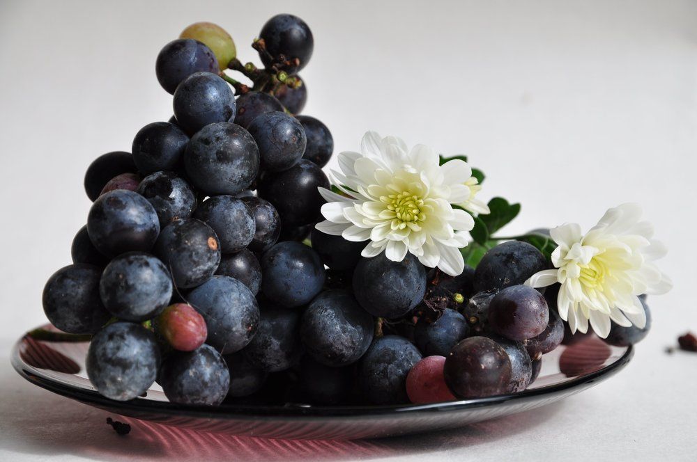 Photograph by Олеся