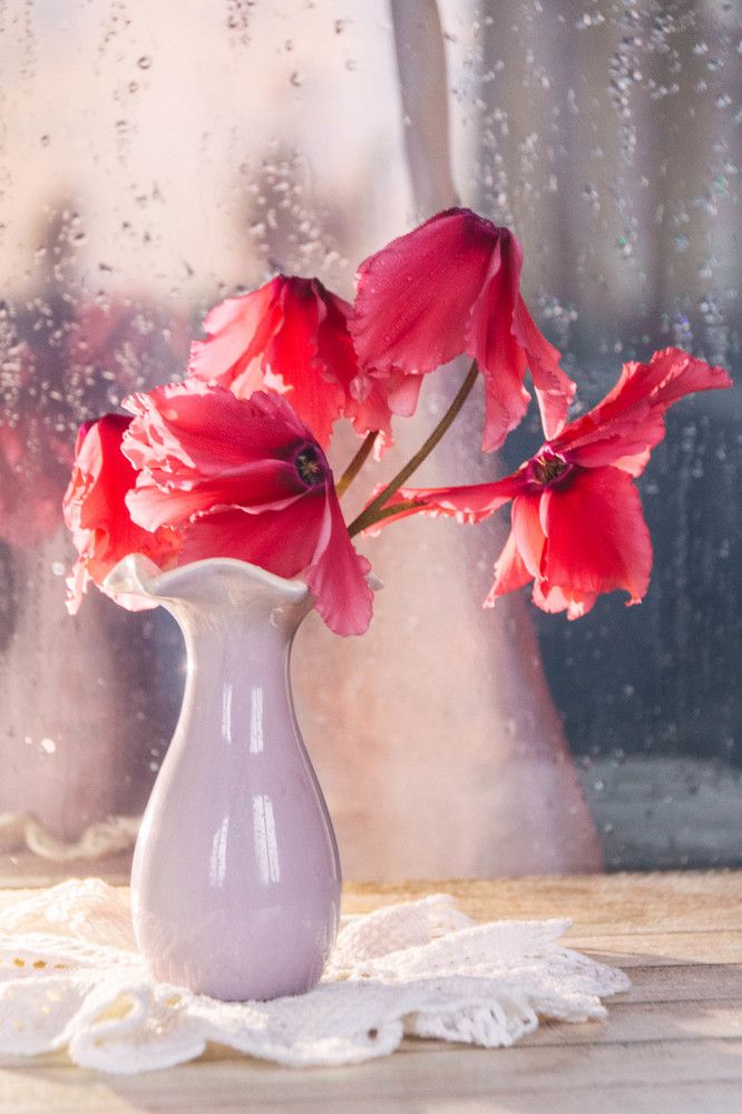 Photograph by Олеся