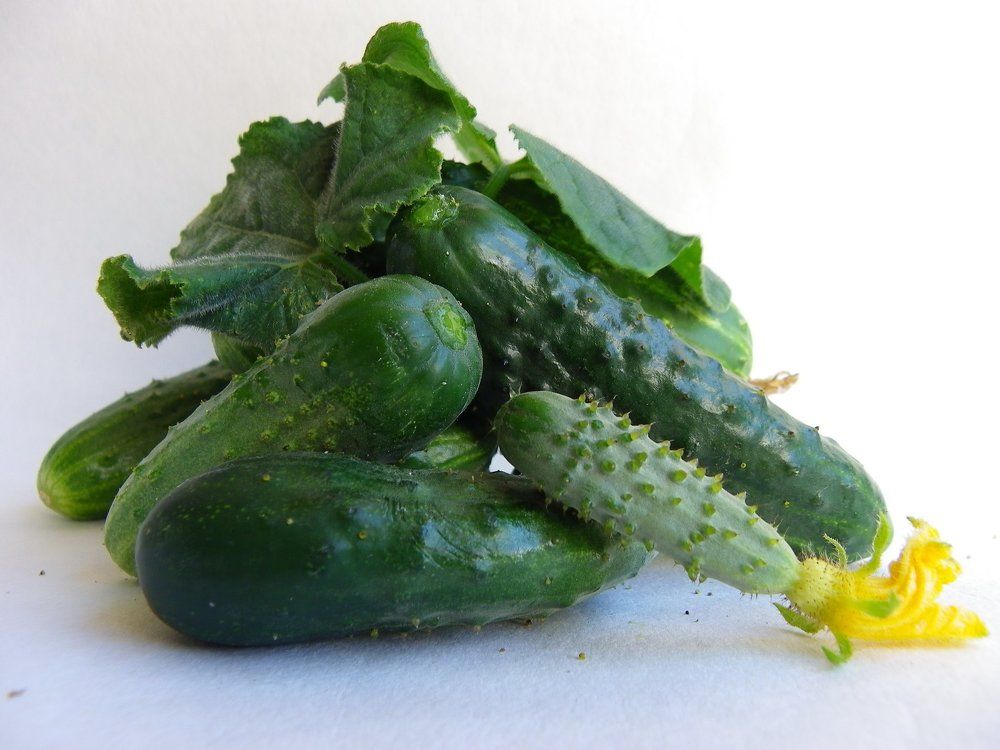 Photograph by Олеся