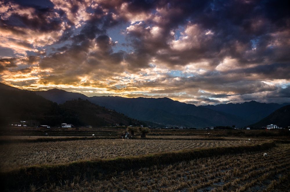 ||Nature Is The Art Of God||