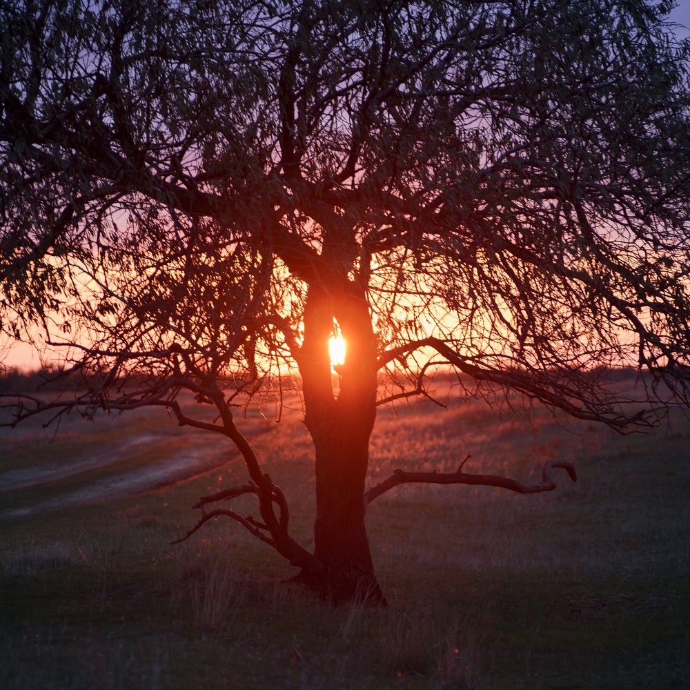 Рождение нового дня.