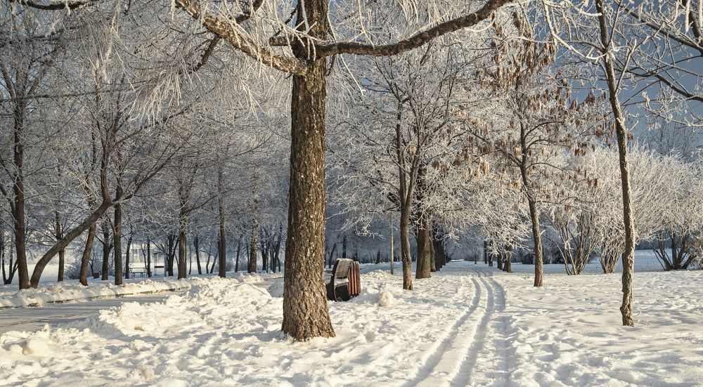 Photograph by Сергей Басов