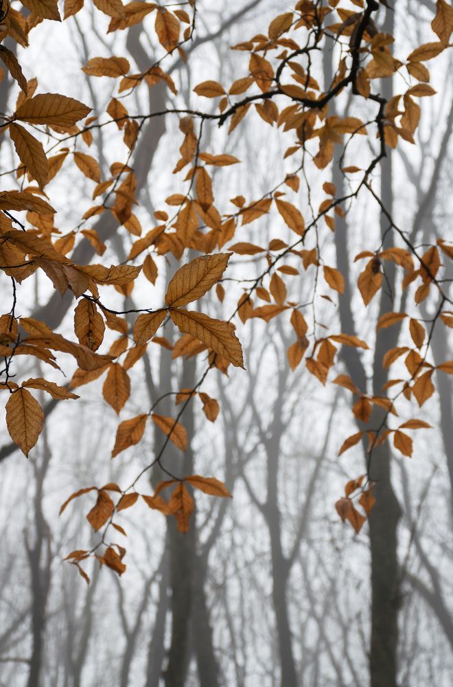 Реальность-не реальна.