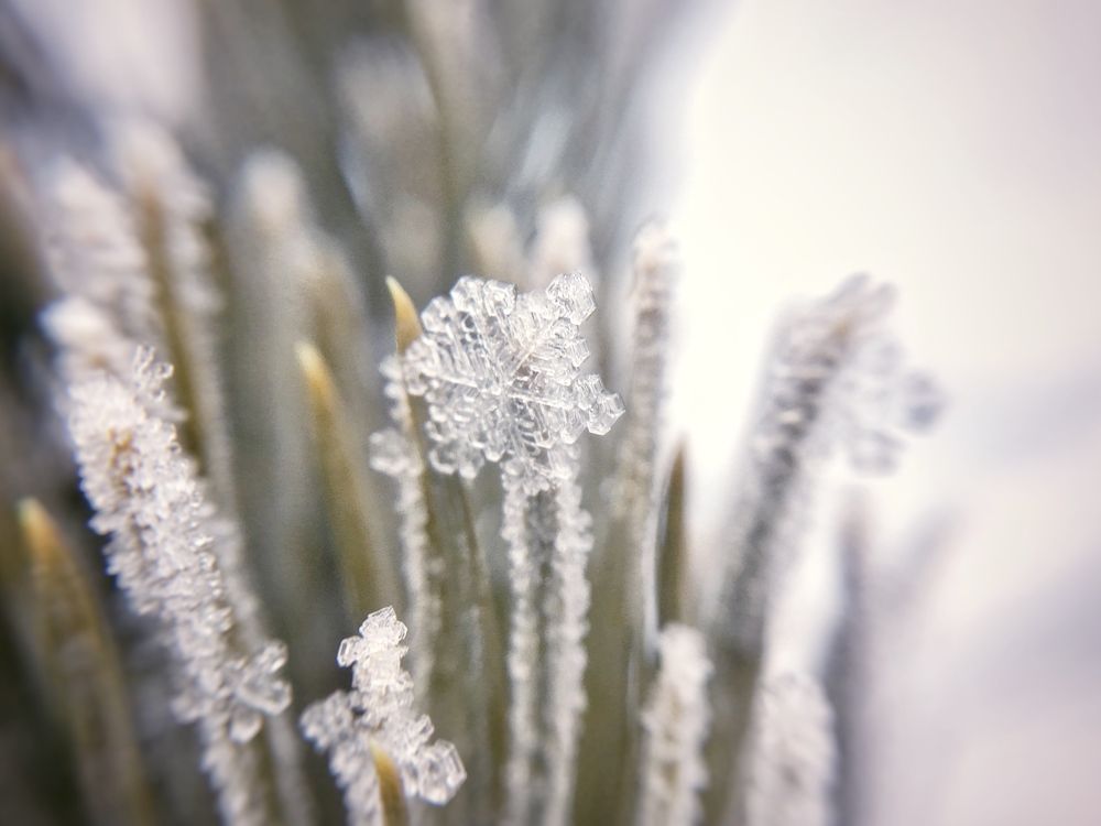 Photograph by Диана Нигматова