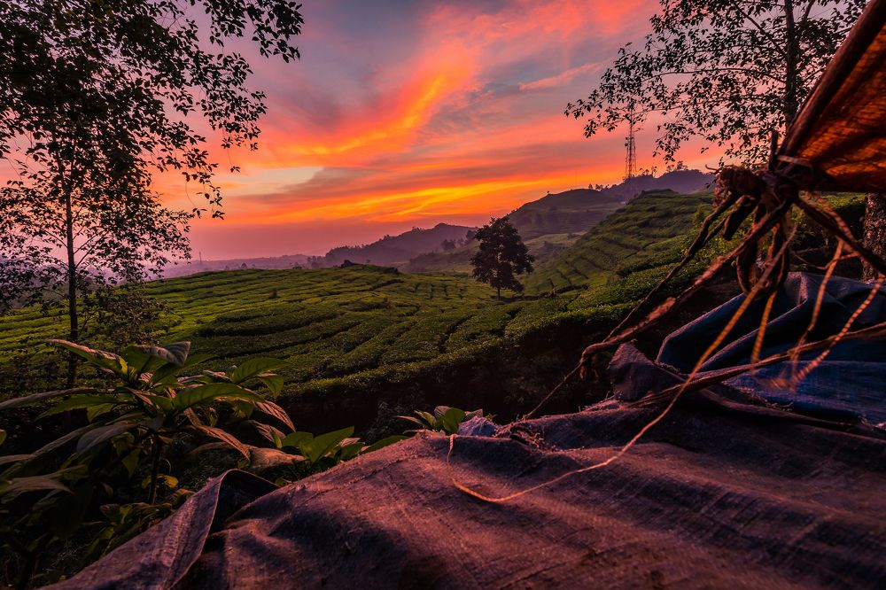 Sunset from the tent