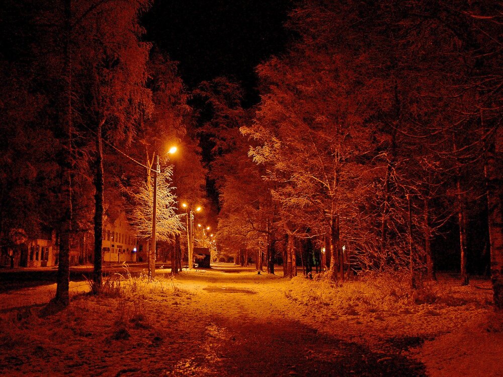 Первый снег