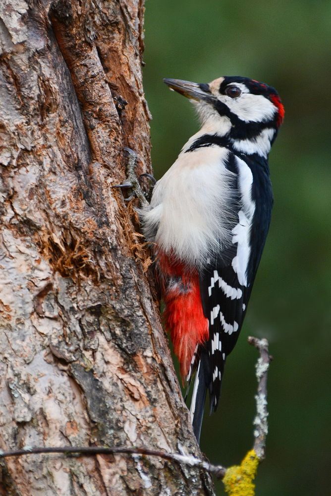 Осенние работы