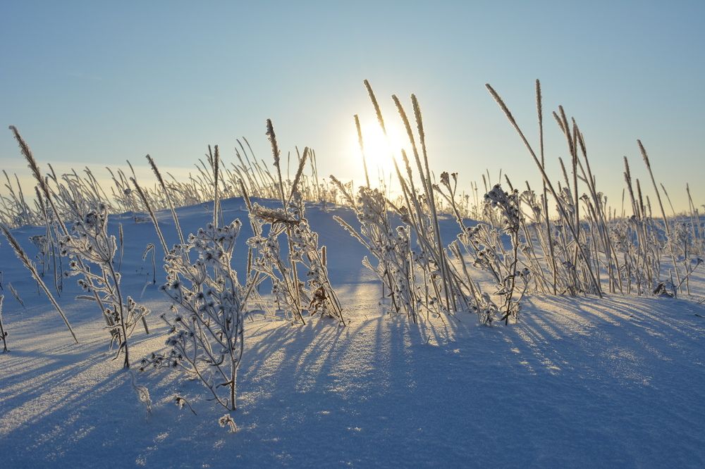 Мороз и солнце...