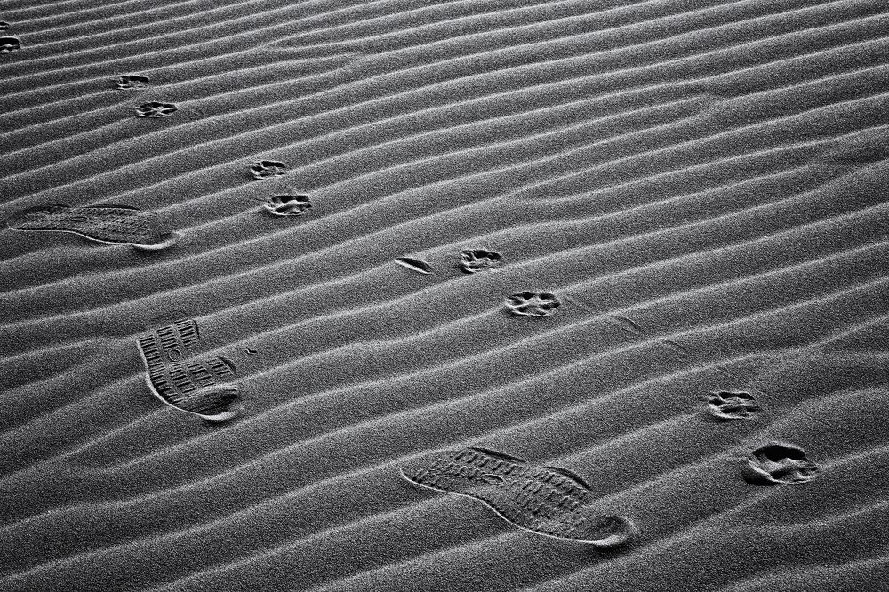 Следы на песке