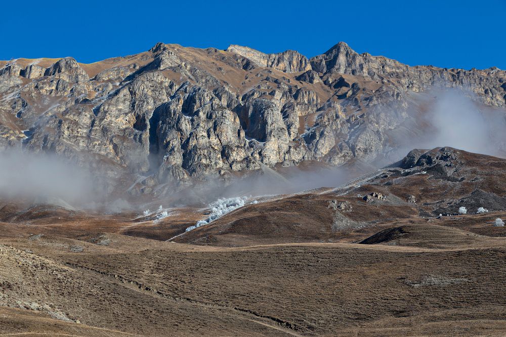 деревья в хрустале