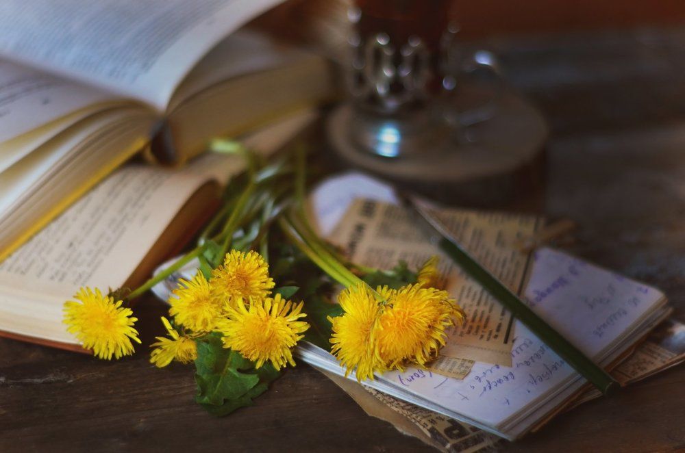 Одуванчики