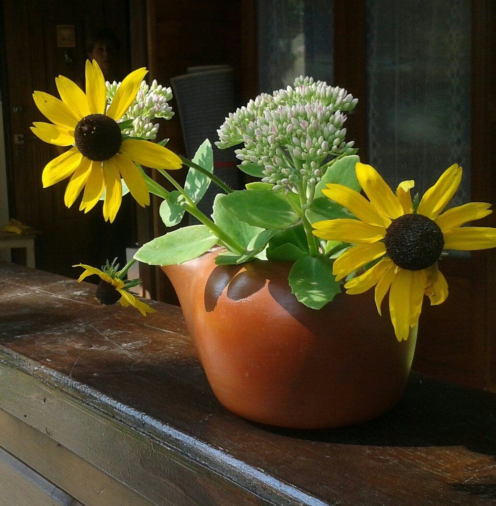 На террасе...