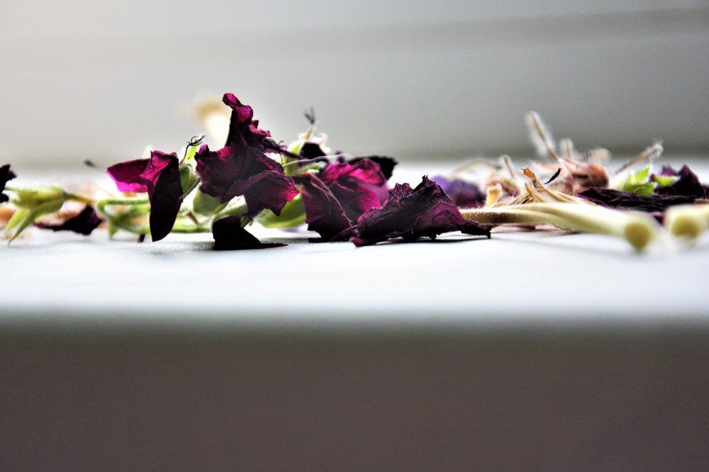 Герань на подоконнике. Geranium on a window-sill.