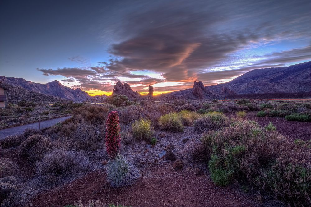 Sunset with Red Tajinaste