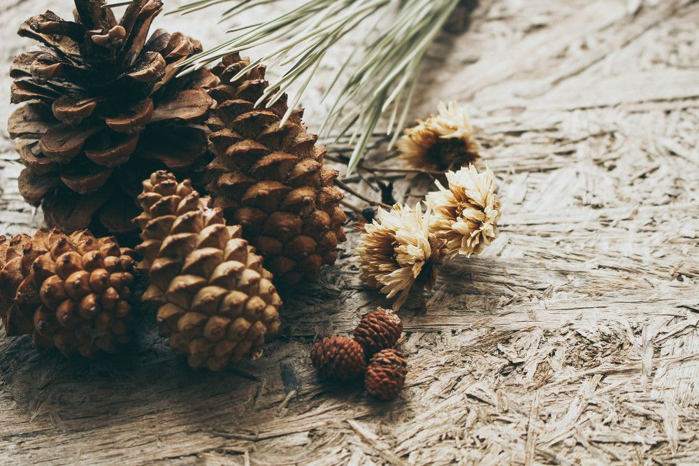 Photograph by Silvia Dubceac