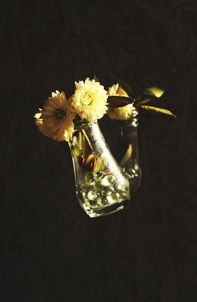 Photograph by Silvia Dubceac