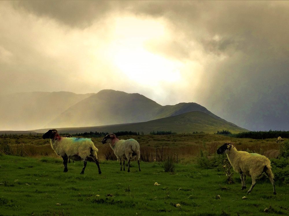 The Still Of Dusk