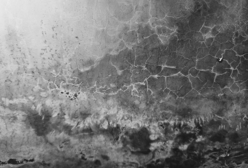 Deliberate Dellusion