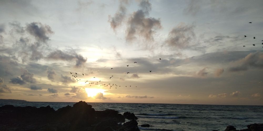 Sunset with Flocks of Flying Talabong