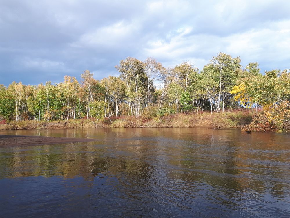 Красота природы