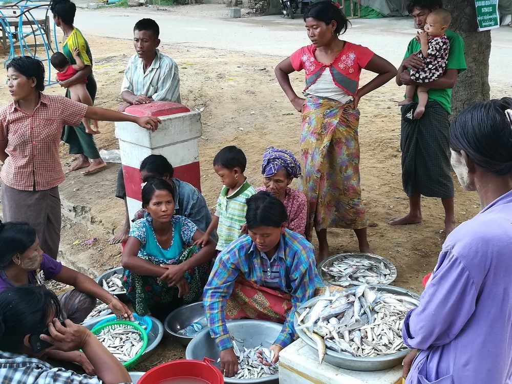 Inland fishery for lcal livelihood
