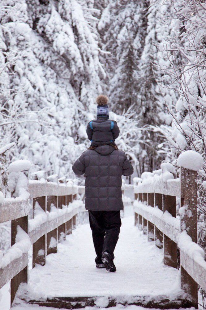 зимним утром