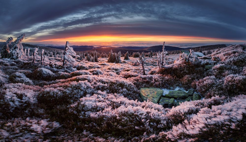 In the freezing Embrace