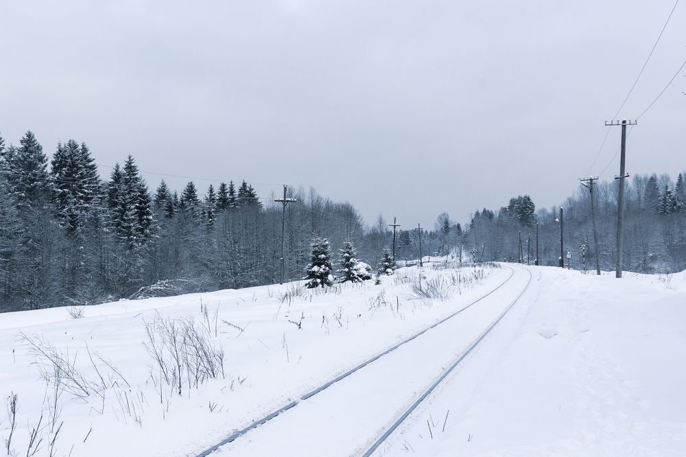 По железной дороге
