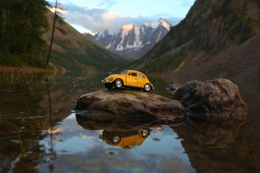 Путешествие желтого жучка