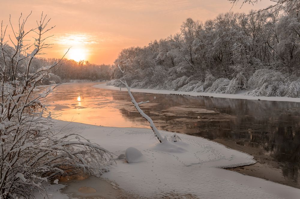 "Теплое утро зимы"
