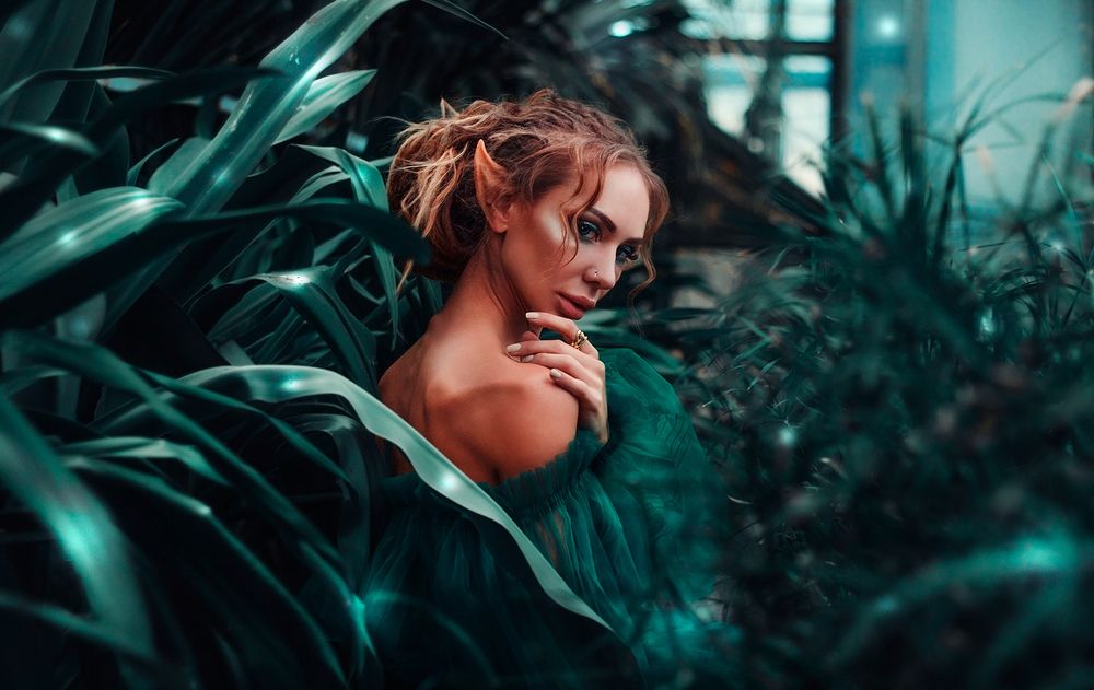 Лесной Эльф