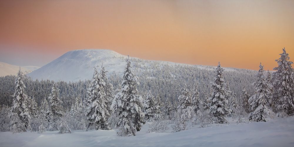 Короткий день полярной ночи