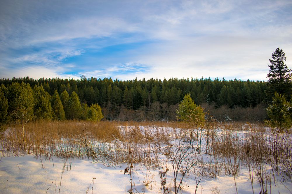 Фотография автора Диана