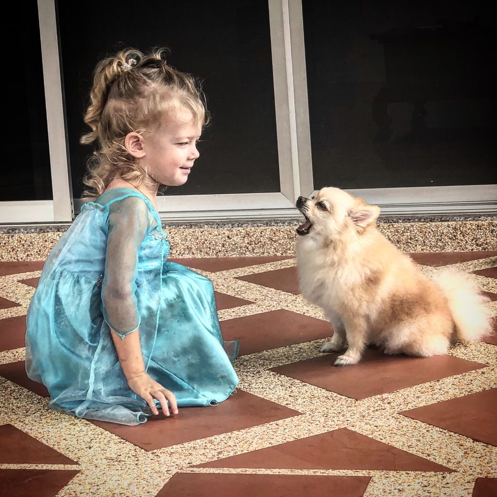 Beauty and the beast