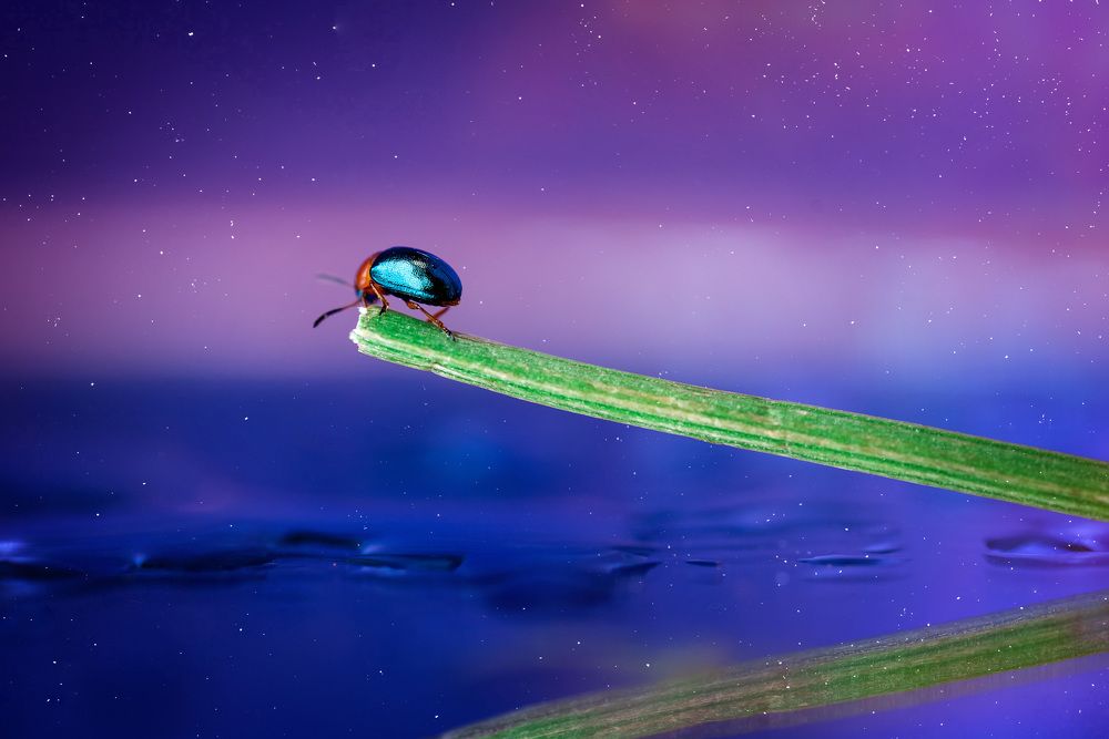 Photograph by Ольга Рагинская