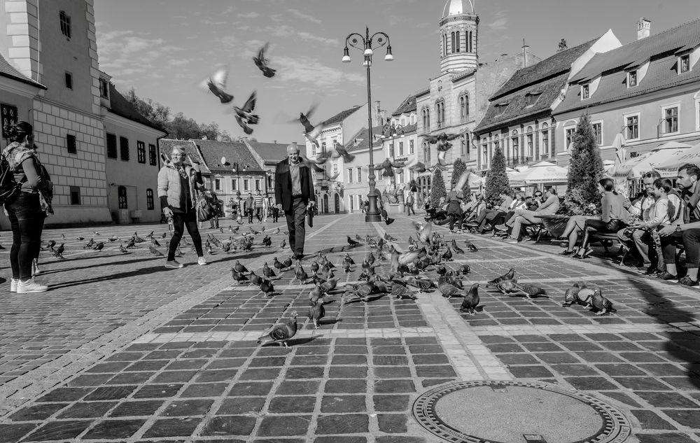 People and birds