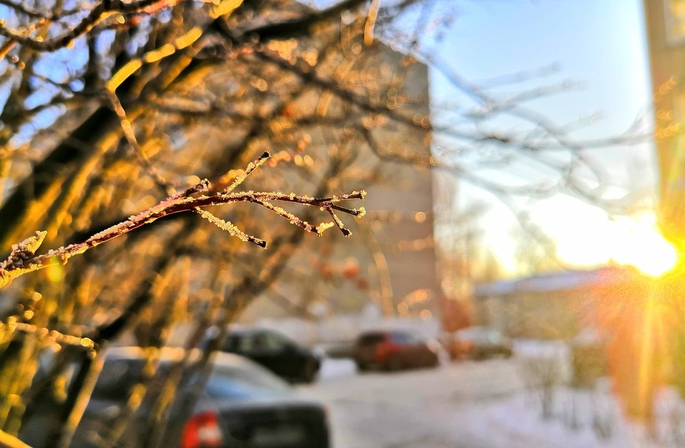 утро во дворе