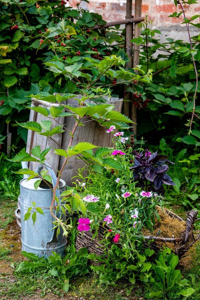 Натюрморт с цветами на природе