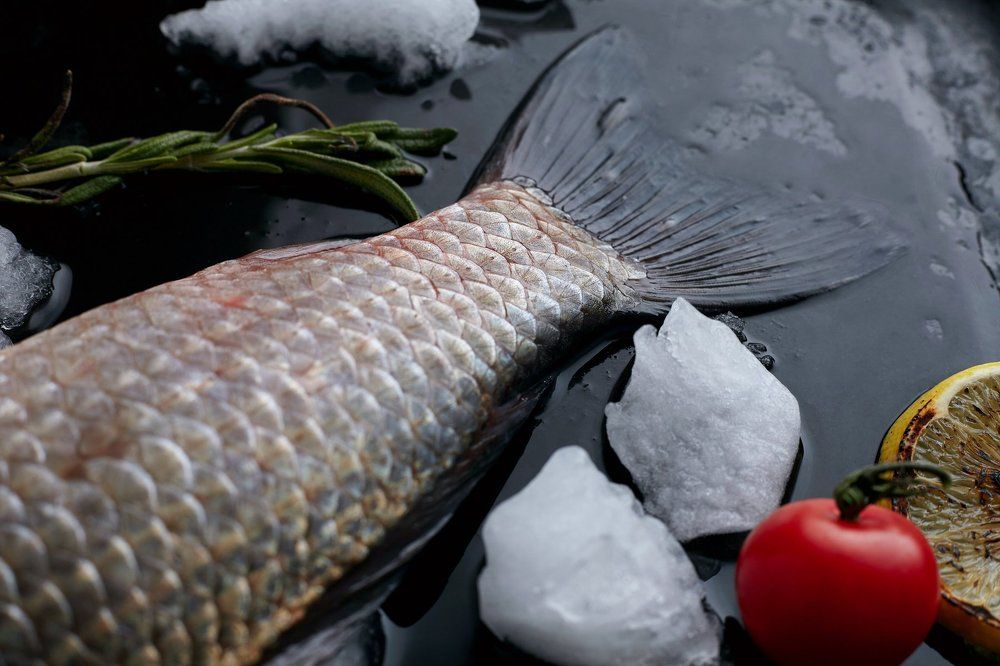 Photograph by Зуев Антон