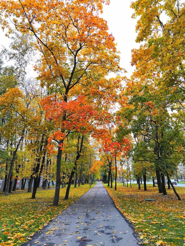 осень в городе