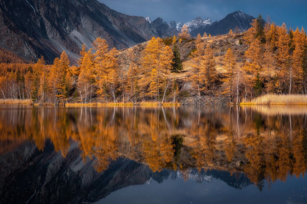 Зеркало осени